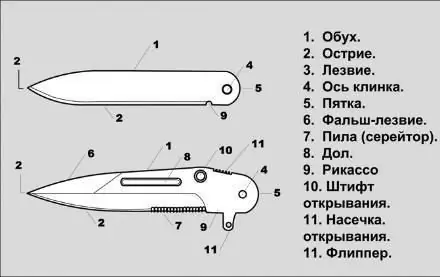 Պատկեր